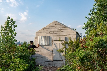 Monthly Public Art Tour