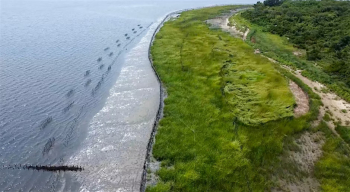 Jamaica Bay Festival: West Pond Living Shoreline Walk