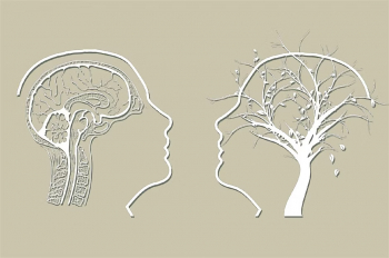 Webinar &ldquo;Introduction to&nbsp;Interpersonal Counselling&rdquo;