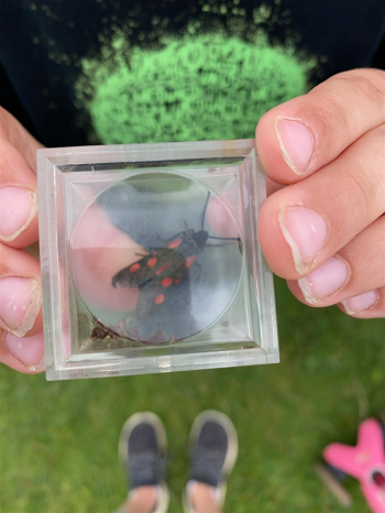 Citizen Science Webinar