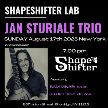 Concert of&nbsp;Jan Sturiale Trio