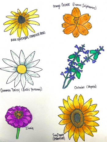 Summer Blossoms Watercolor Workshop