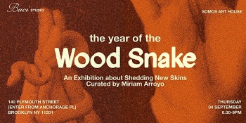 Exhibition &ldquo;The Year of&nbsp;The Wood Snake&rdquo;