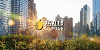 Harvesting Heights: A&nbsp;Rooftop Farm Tour