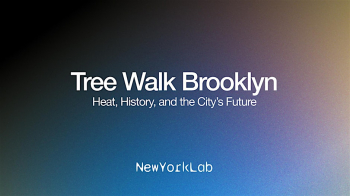 Tree Walk Brooklyn: Heat, History, and the City&rsquo;s Future