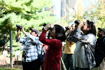 Trekking through tweets and trees: fall bird walk on&nbsp;Randall&rsquo;s Island