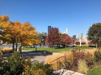 Fall Scavenger Hunt