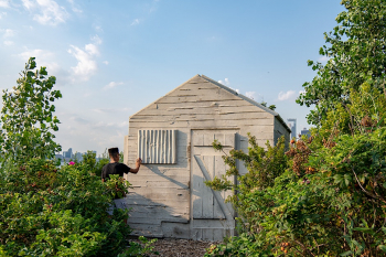 Monthly Public Art Tour