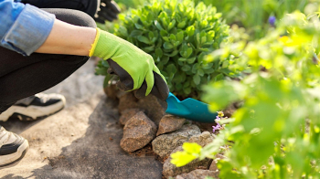 Webinar &ldquo;Water-Wise Gardening&rdquo;