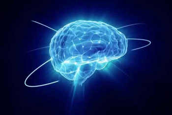 Inside the Brain: Neuroscience Research Webinar