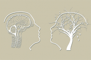 Webinar &ldquo;Introduction to&nbsp;Interpersonal Counselling (IPC)&rdquo;