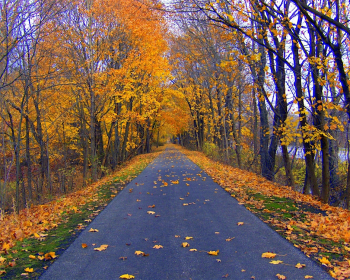 WE&nbsp;Bike for Fall Foliage and Hot Chocolate