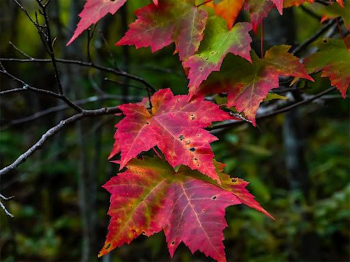 Greenbelt Post-Feast Hike to&nbsp;LaTourette Golf House