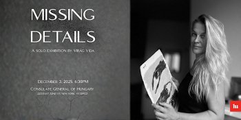 Missing Details&nbsp;&mdash; A&nbsp;Solo Exhibition by&nbsp;Vir&aacute;g Vida