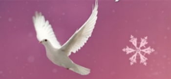 A&nbsp;New World of&nbsp;Peace: Holiday Concert of&nbsp;Music &&nbsp;Meditation