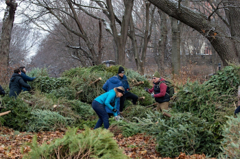 NYC Mulchfest 2026