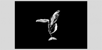 Matt Draper: Within One Breath&nbsp;&mdash; Artist Walk-Through &&nbsp;Champagne Toast