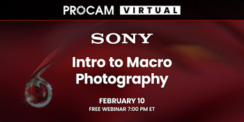 Intro to&nbsp;Macro Photography&nbsp;&mdash; Sony Webinar