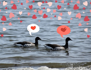 Valentine&rsquo;s Day Hike