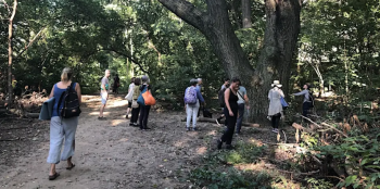 Summer on&nbsp;the Hudson: Forest Bathing for Children