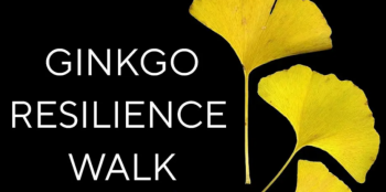 The Resilience Walk&nbsp;&mdash; A&nbsp;Ginkgo-Inspired Guided Nature Meditation