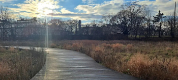 Spring Tree Walk: Trees of&nbsp;the NCL