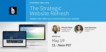 Webinar &ldquo;The Strategic Website Refresh&rdquo;