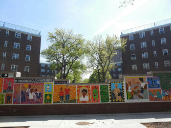Walking Weeksville: A&nbsp;Black Heritage Neighborhood Walking Tour