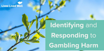 Webinar &ldquo;Lives Lived Well: Identifying and Reducing Gambling Harm&rdquo;
