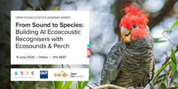 Webinar &ldquo;From Sound to&nbsp;Species: Build Ecoacoustic Recognisers with Ecosounds &&nbsp;Perch&rdquo;
