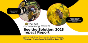Bee the Solution: 2025 Impact Report Webinar