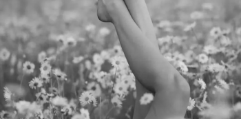 Webinar &ldquo;Creating Harmony Within Your Body&rdquo;