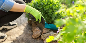 Webinar &ldquo;Water-Wise Gardening&rdquo;