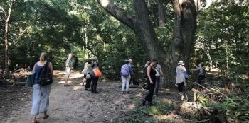 Summer on&nbsp;the Hudson: Forest Bathing