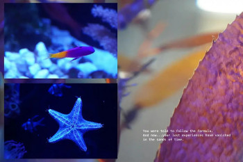 Solo Exhibition of&nbsp;Lens-Based Arts by&nbsp;Michael Hanna