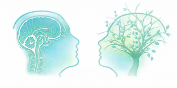 Webinar &ldquo;Introduction to&nbsp;Interpersonal counselling&rdquo;