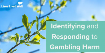 Webinar &ldquo;Lives Lived Well: Identifying and Reducing Gambling Harm&rdquo;