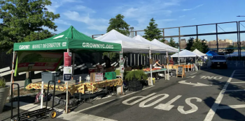 Domino Park Greenmarket