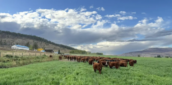 Rancher Roundtable Webinar