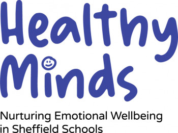 Education Mental Health Practitioner Role Webinar and Q&A