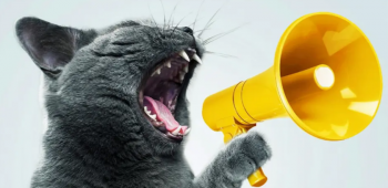 Webinar &ldquo;Hone your communication skills&rdquo;
